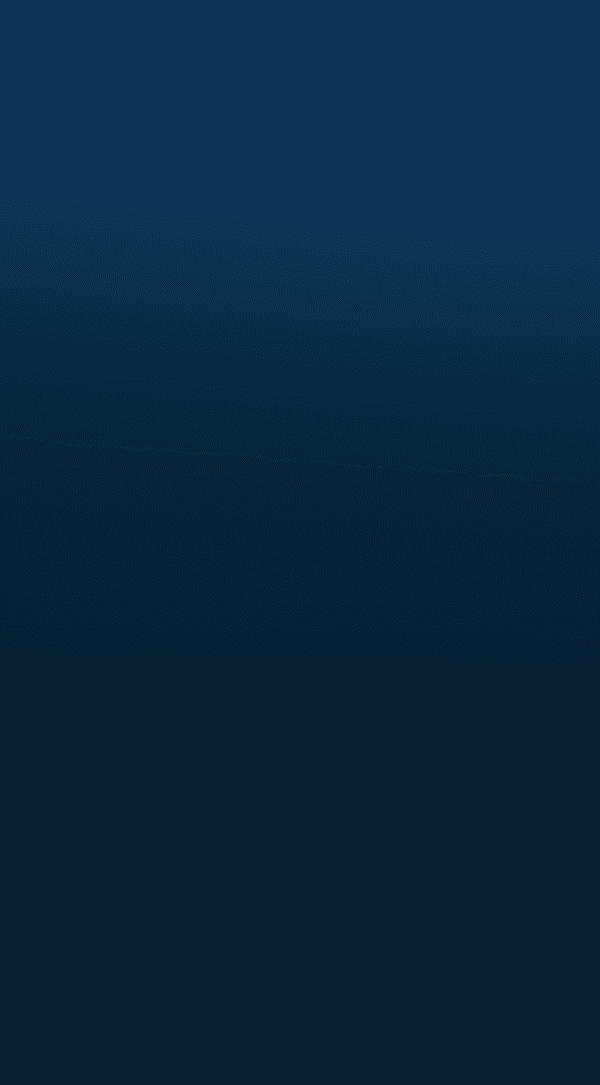 Iscas de <br /> Carga